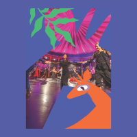 L'Okapi