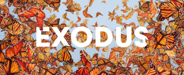 msm22 EXODUS homepage (alleen thema) 2361x1181px.jpg