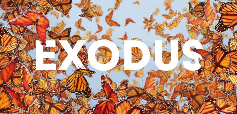 msm22 EXODUS homepage (alleen thema) 2361x1181px.jpg